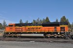 BNSF 9181